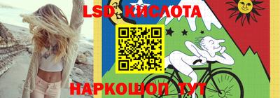 spice Кингисепп