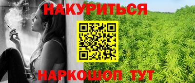 spice Кингисепп
