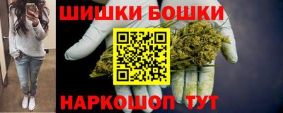 spice Кингисепп