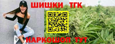 spice Кингисепп