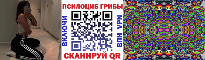 Галлюциногенные грибы прущие грибы Краснодар