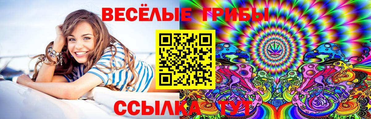 Краснодар  Псилоцибиновые грибы MAGIC MUSHROOMS  продажа наркотиков  Псилоцибиновые грибы мухоморы  Вход с VPN 